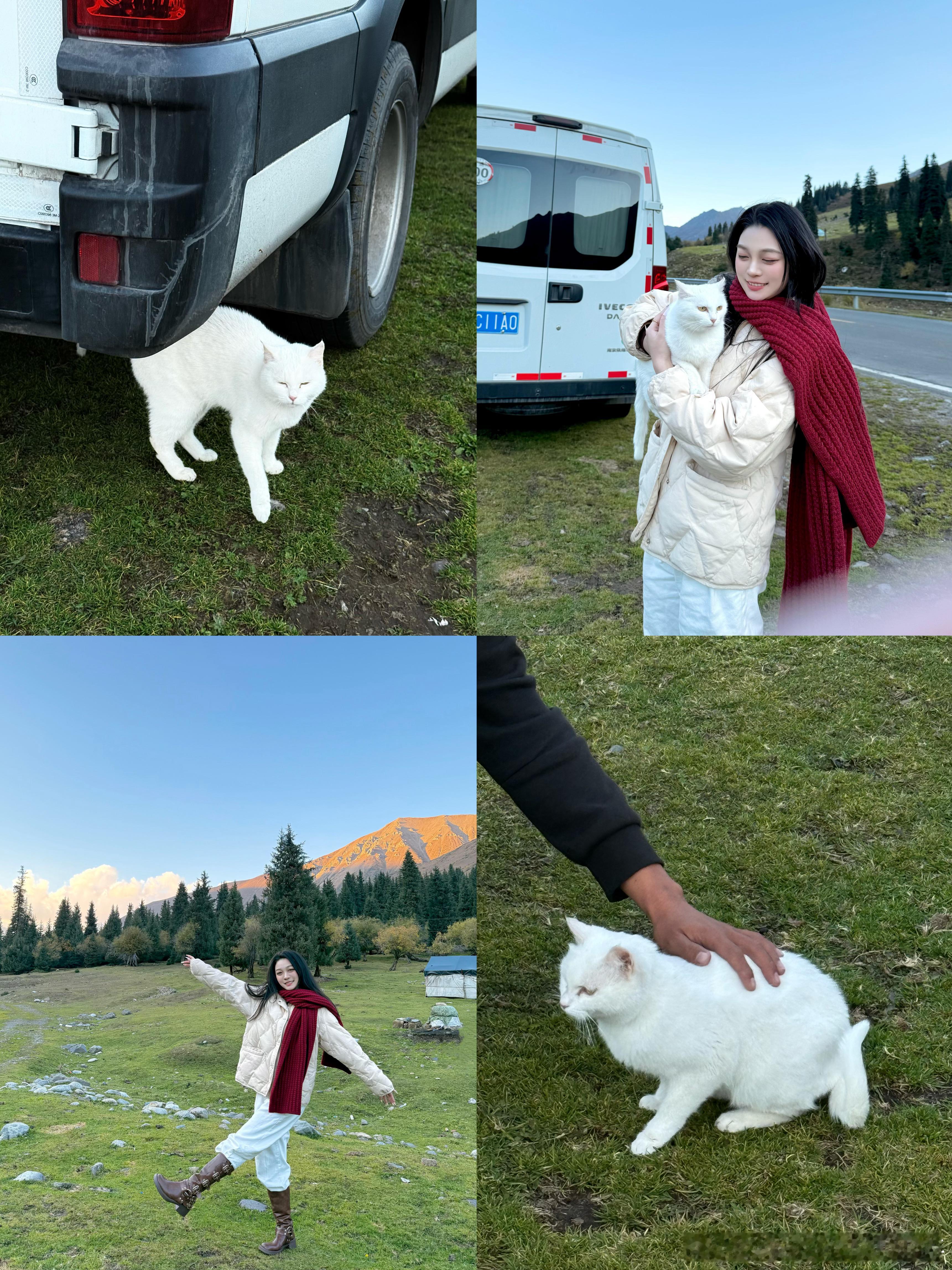 疆 我会想念你哒！！！🏔️❄️👒🏜️ 🍂🌲🪾🐂🐐🐎 