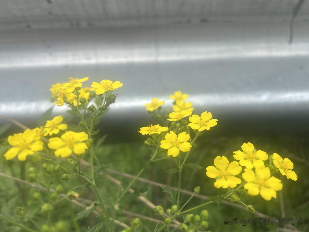 现在有些老年人为啥招人恨?
现在，为什么人们感觉有些老年人不可爱了呢？归纳起来，