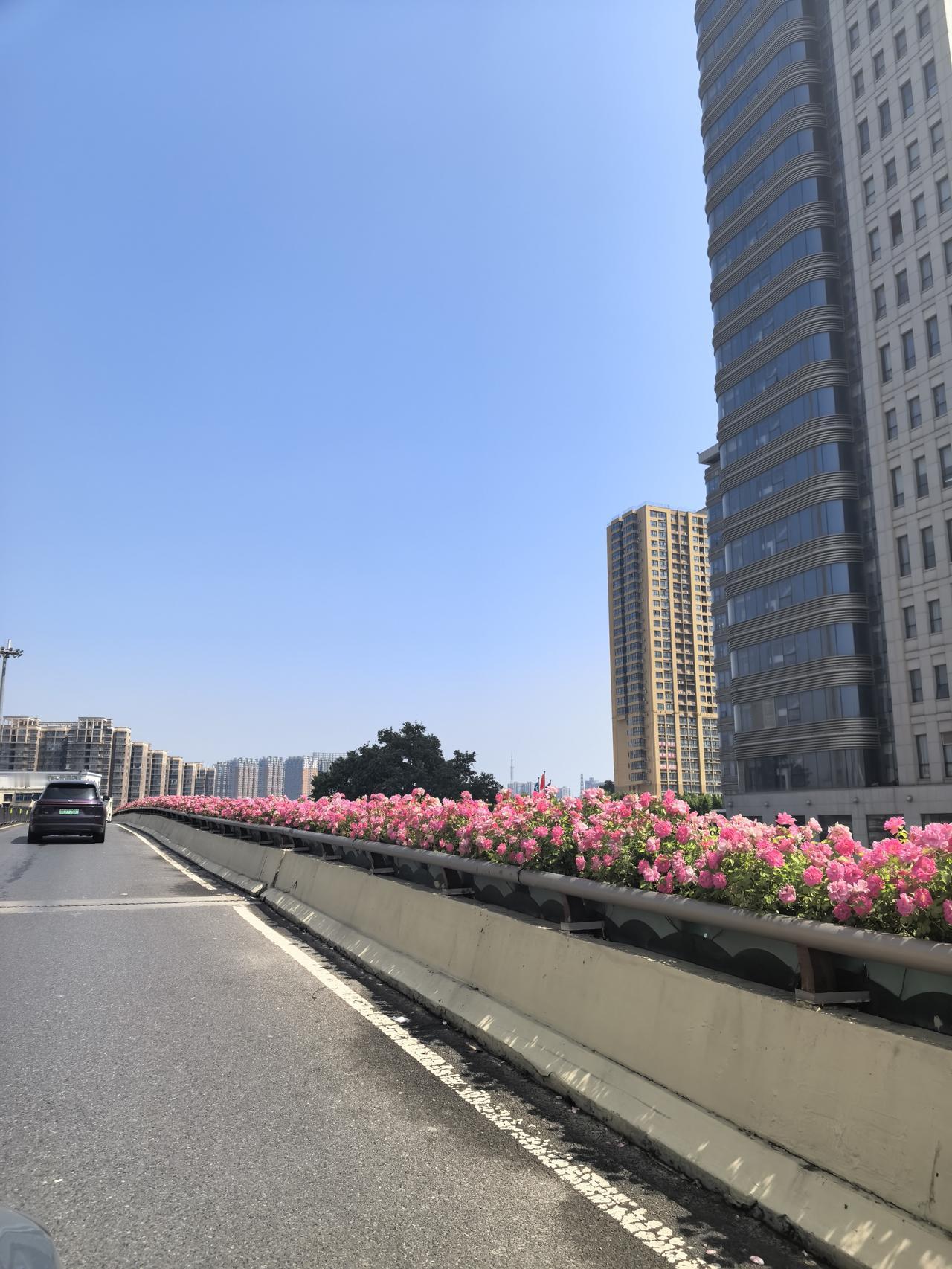 昨天在郑州，坐在车里拍了一组图片，算是走马观花吧！

这几天，郑州市区内道旁的月