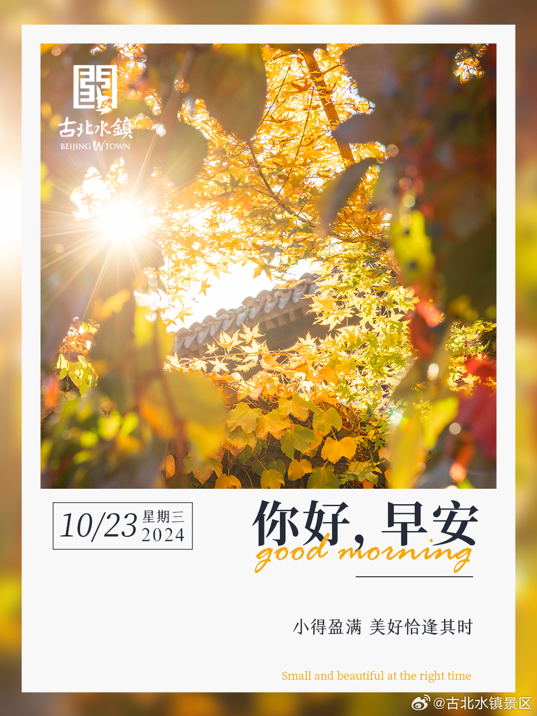 霜降寒更起，秋末东将至早安，宝子们~#长城脚下的红叶小镇# #古北水镇光之城# 