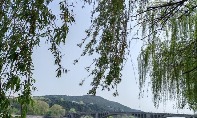 嘴上喊着“躺赢”、笃定没人敢查，结果转头就得了幽闭恐惧症，这脸打得也是没谁了。说