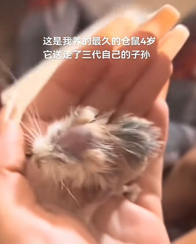 果然生命在于运动啊哈哈哈哈哈哈哈哈 ​​​