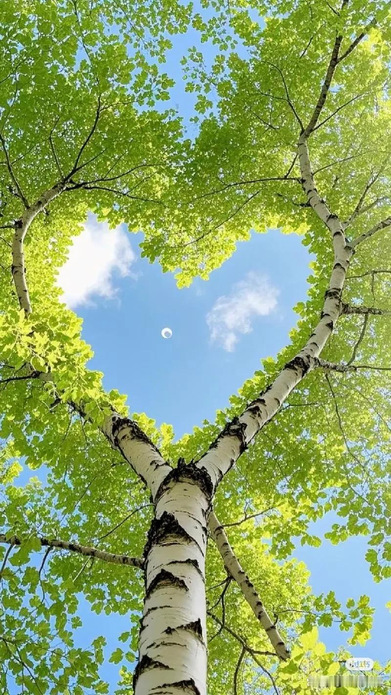 急性白血病和慢性白血病如何区别?
我是急性白血病，我只知道急性白血病发病很急的，