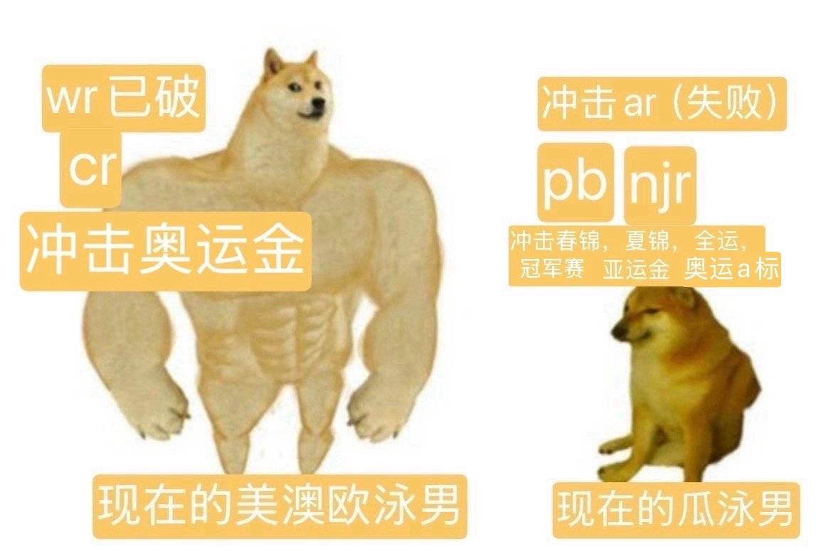 补充