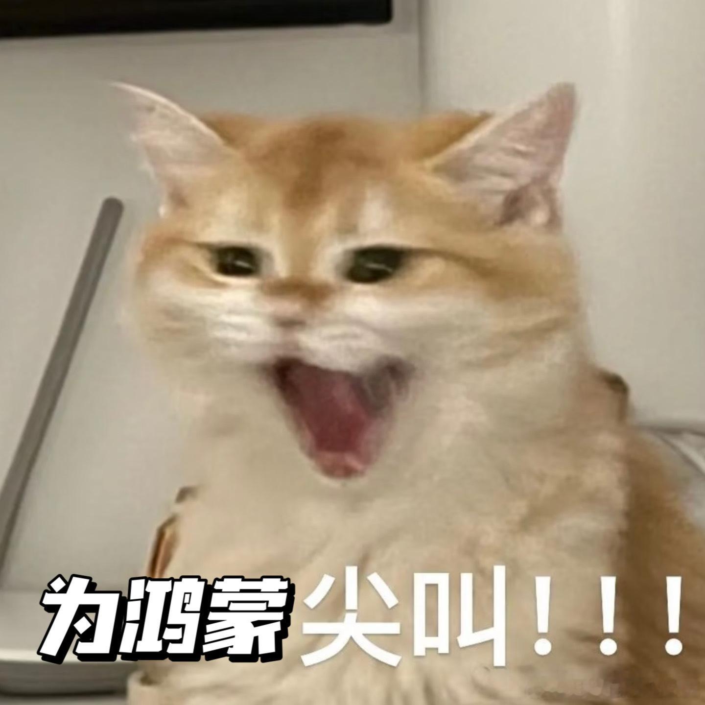 啊啊啊！太激动人心了！鸿蒙5破千万，看着余总带着鸿蒙上央视《对话》，心里会涌出那