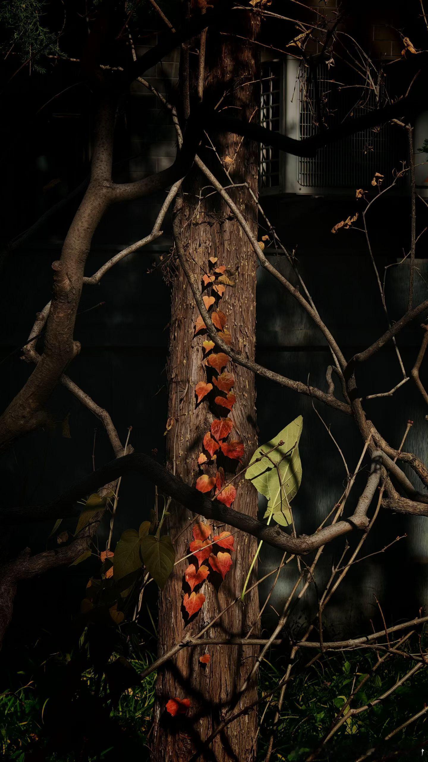 好好休息💤🌙 