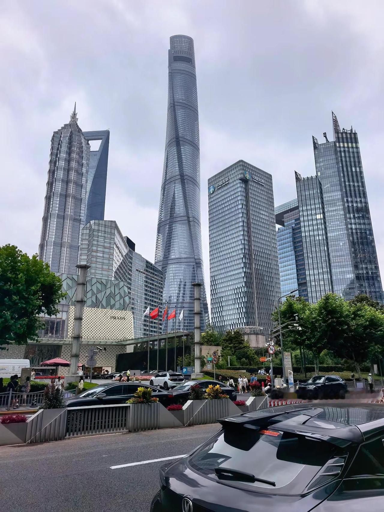 纯纯游客照 盐城→上海 笔直的一条  魔都 我们如此热爱盐城 上海 长三角