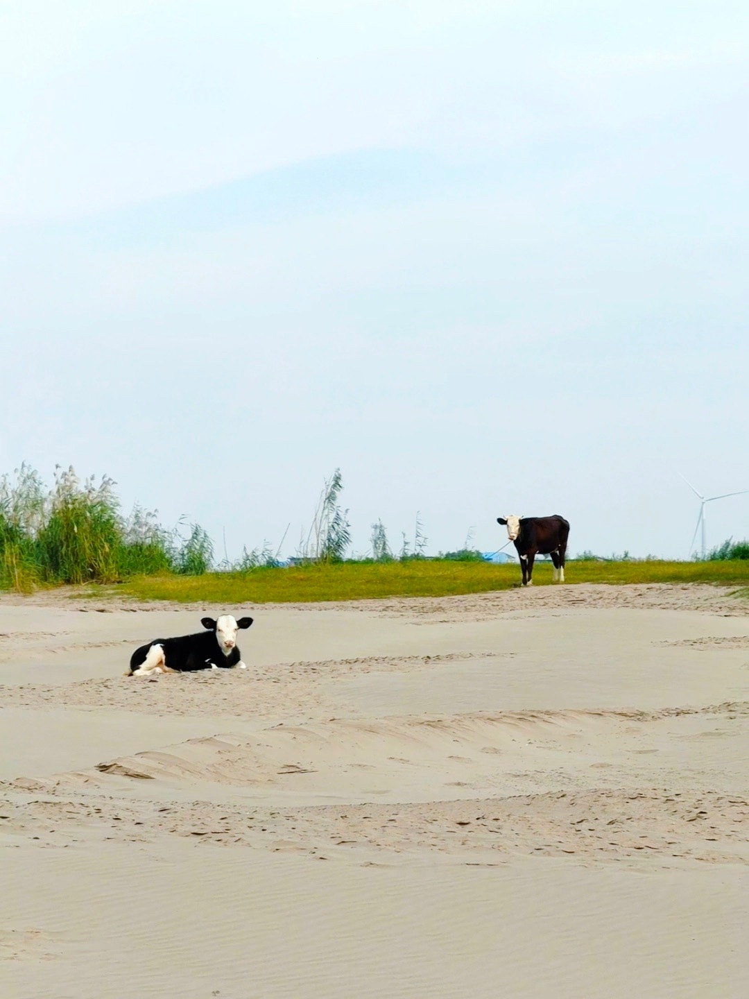镜子照人，但照不了心，任何关系，值得就好 