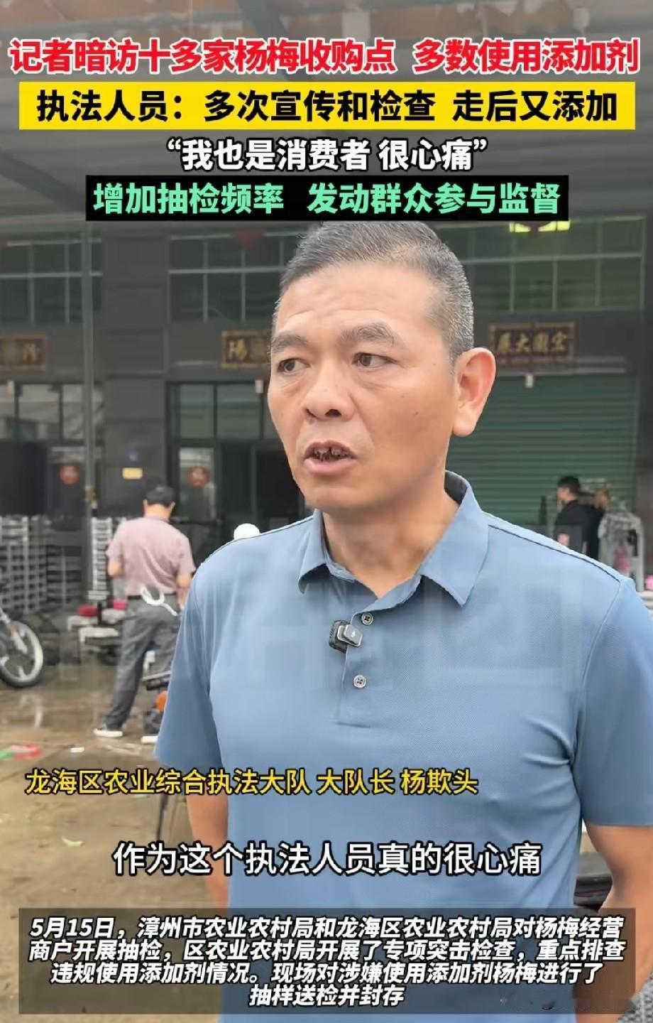 “泡药杨梅”这事必须深思：为什么记者去暗访几家收购点就发现了这么多问题杨梅，日常