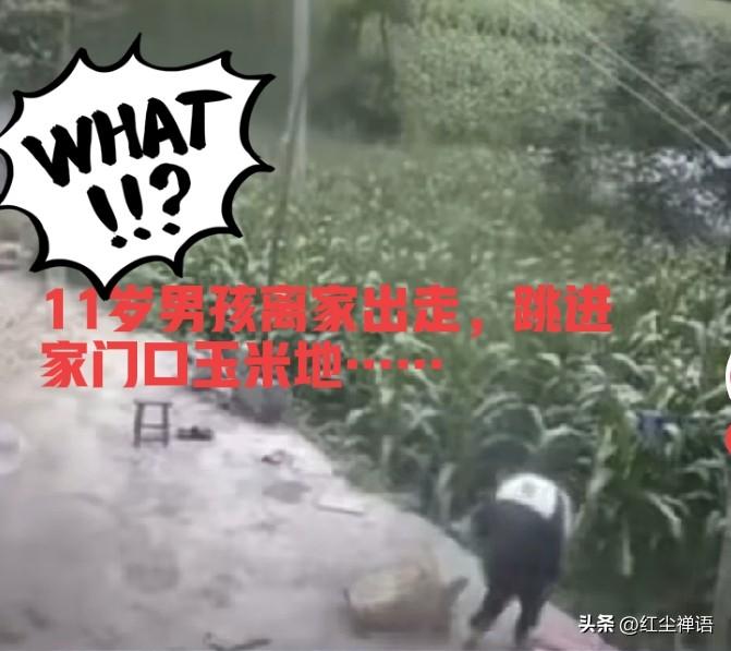 11岁留守儿童，因被奶奶训斥离家出走失联5天后来怎么样了

这是几天前笔者看到的