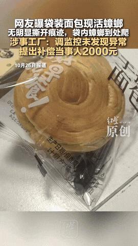 解释不清了，近日一网友爆料，购买的手撕面包里面有活蟑螂，而且蟑螂在密封的包装里生