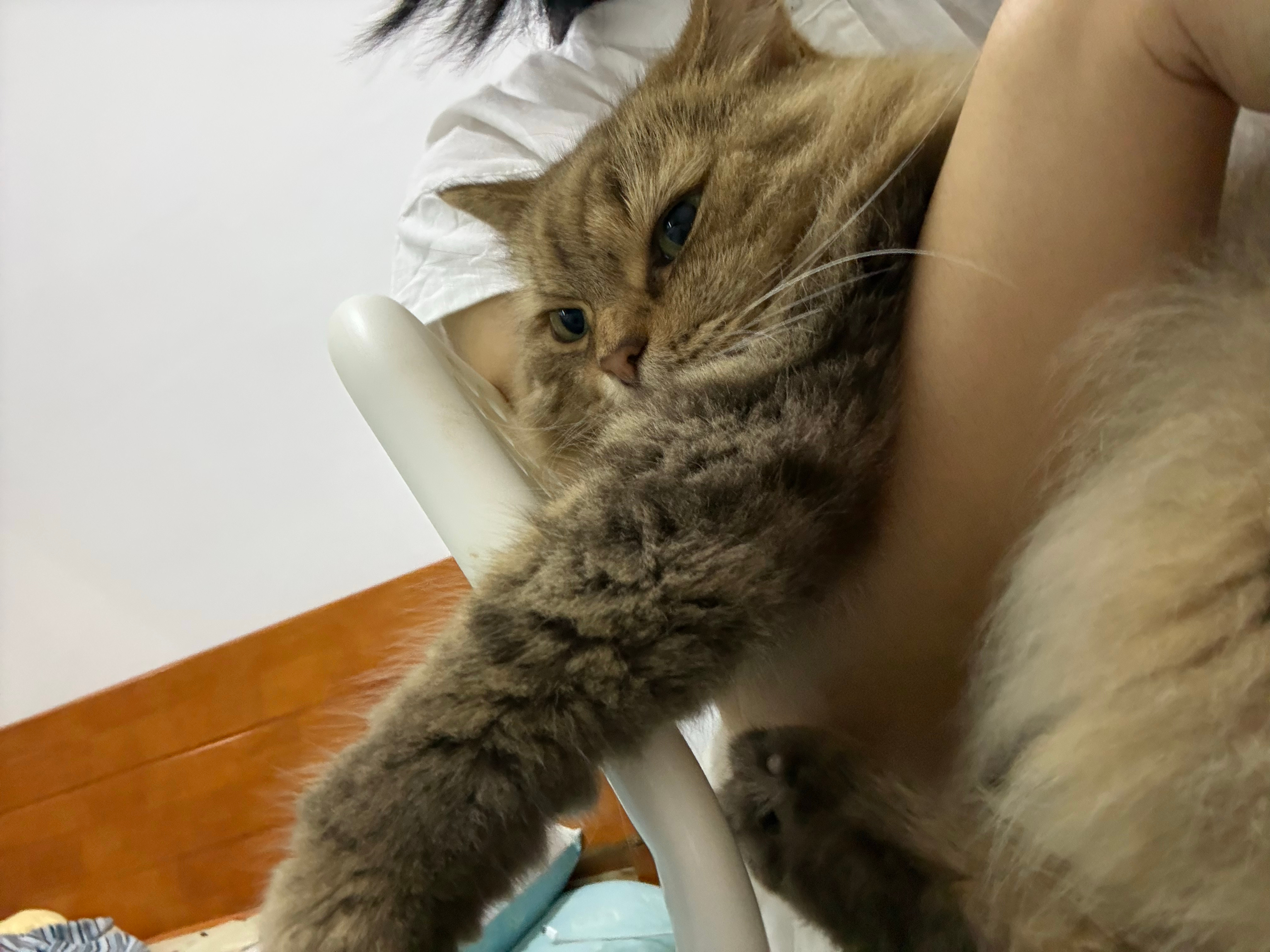 舒适 