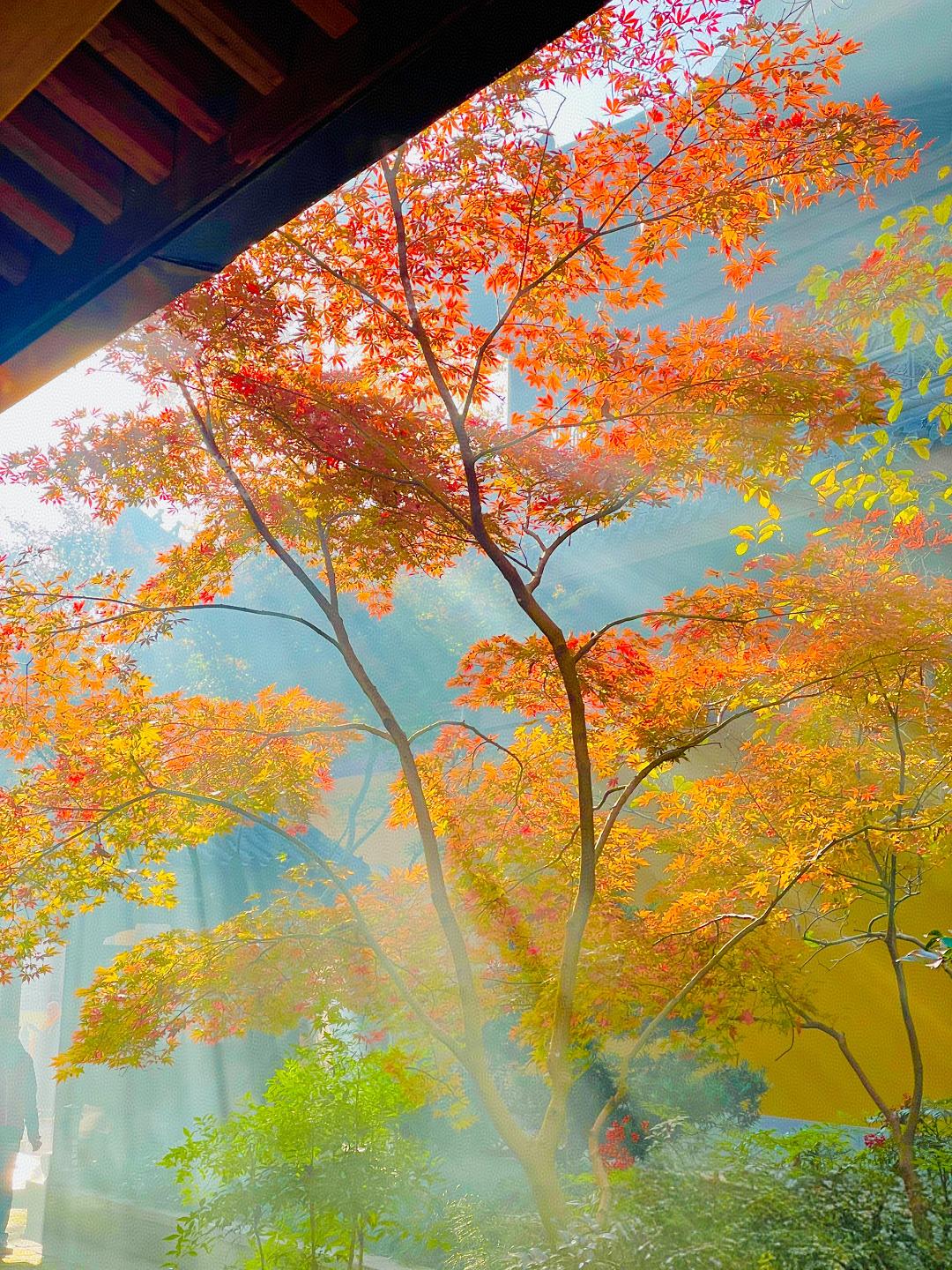 我常跟同行说，其实最难教的就是初中孩子。为何这么讲呢？小学阶段，家长通常不太关注