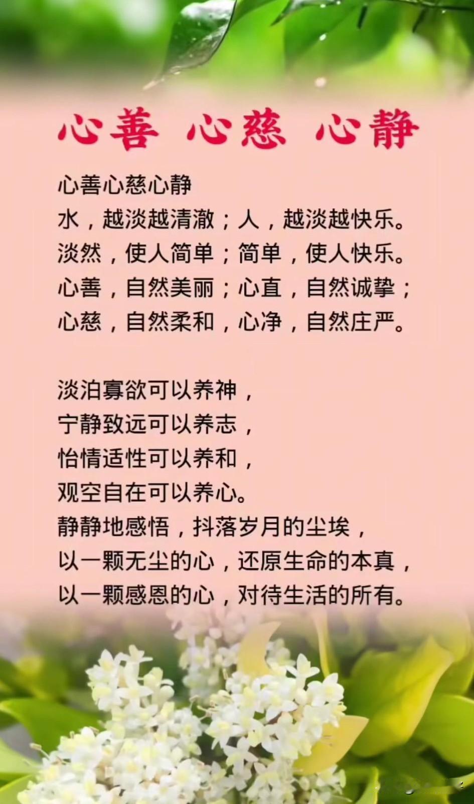 心善，是人生的底色，如春日之阳，温煦而化育万物。心善之人，见他人之困厄，则施援手