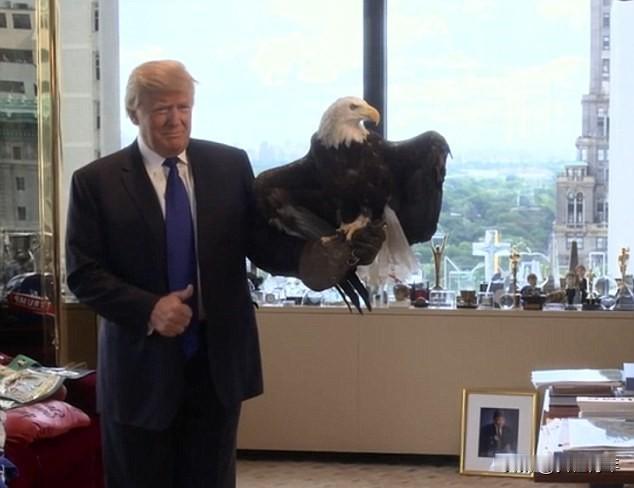 在这个残酷的世界里，只要脑子稍微少那么一丁点儿弦，就很有可能沦为人家的砧板上的鱼