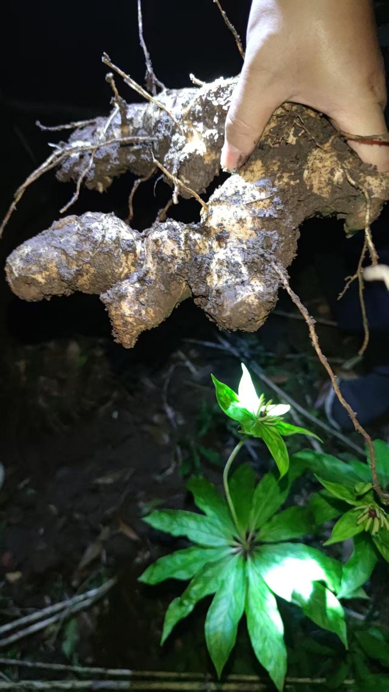 誤會1300年的經典語錄；
唐代永嘉證道歌言：行亦禪，坐亦禪。
後人誤會千年，以