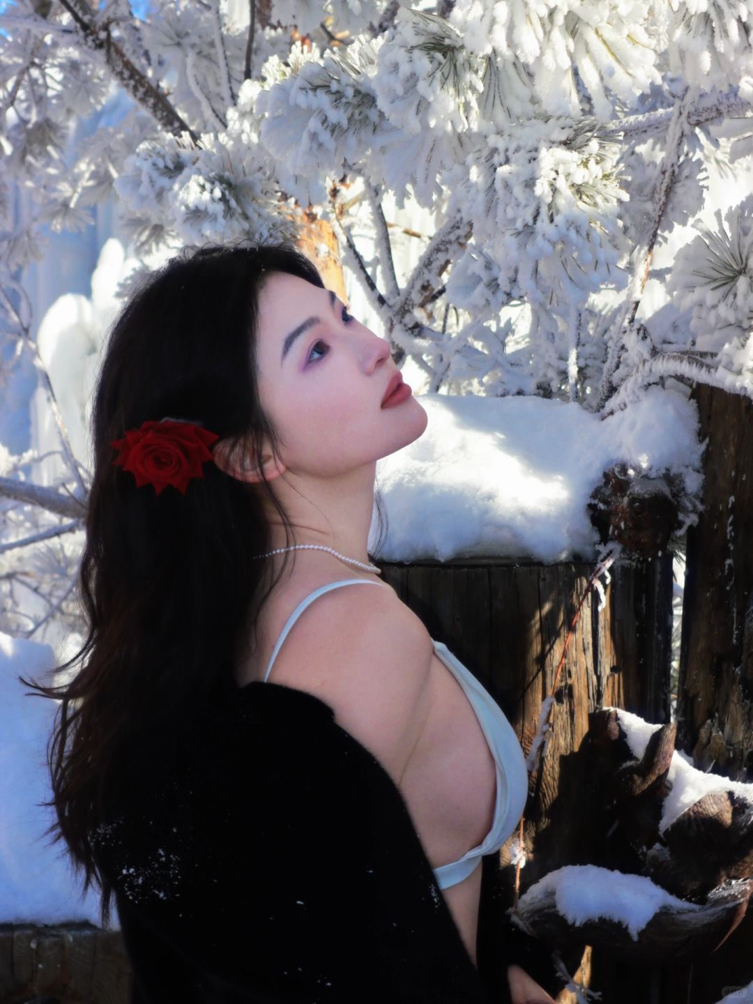 🧊雪女 与 🩸雪妖