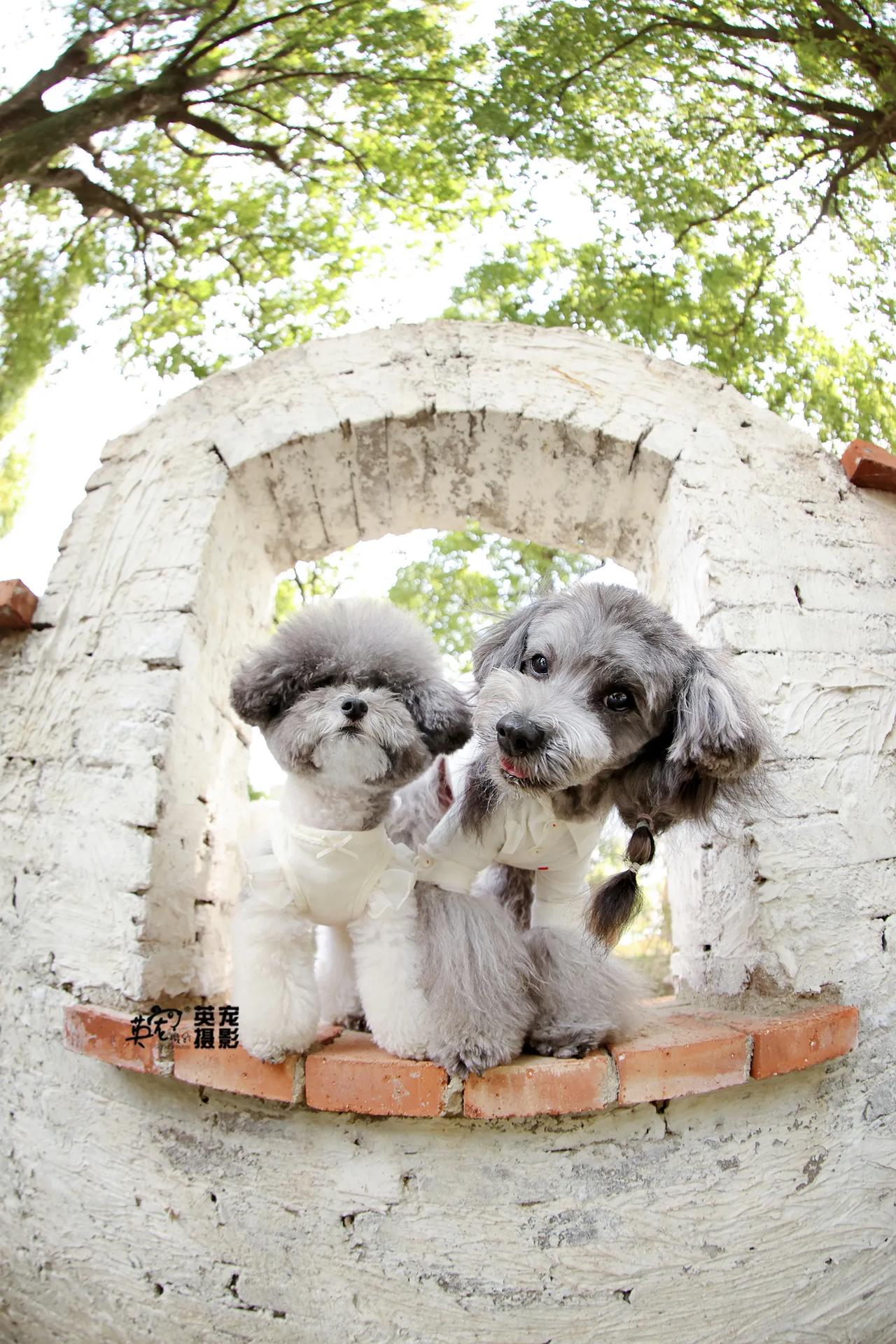 来，亲亲🤣
【上海】