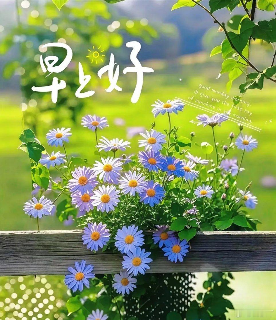 早安[超话]早安 🌤时光温润如茶，岁月生香似花🍒心境澄明，生活方显真味，新的