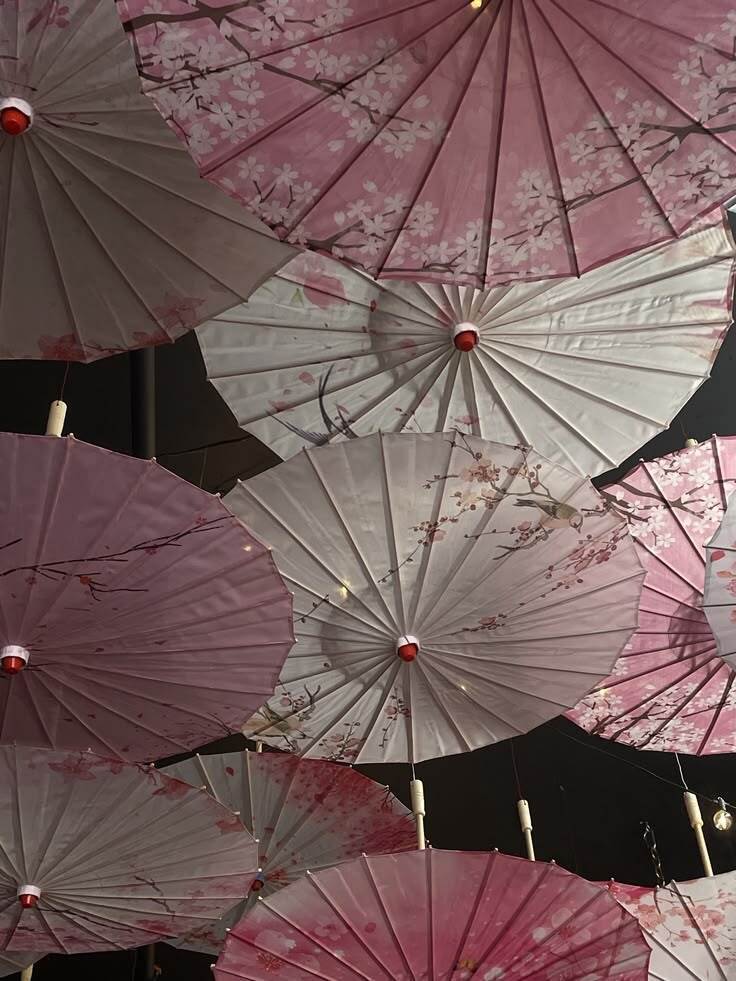 樱花落尽春将困 ​​​