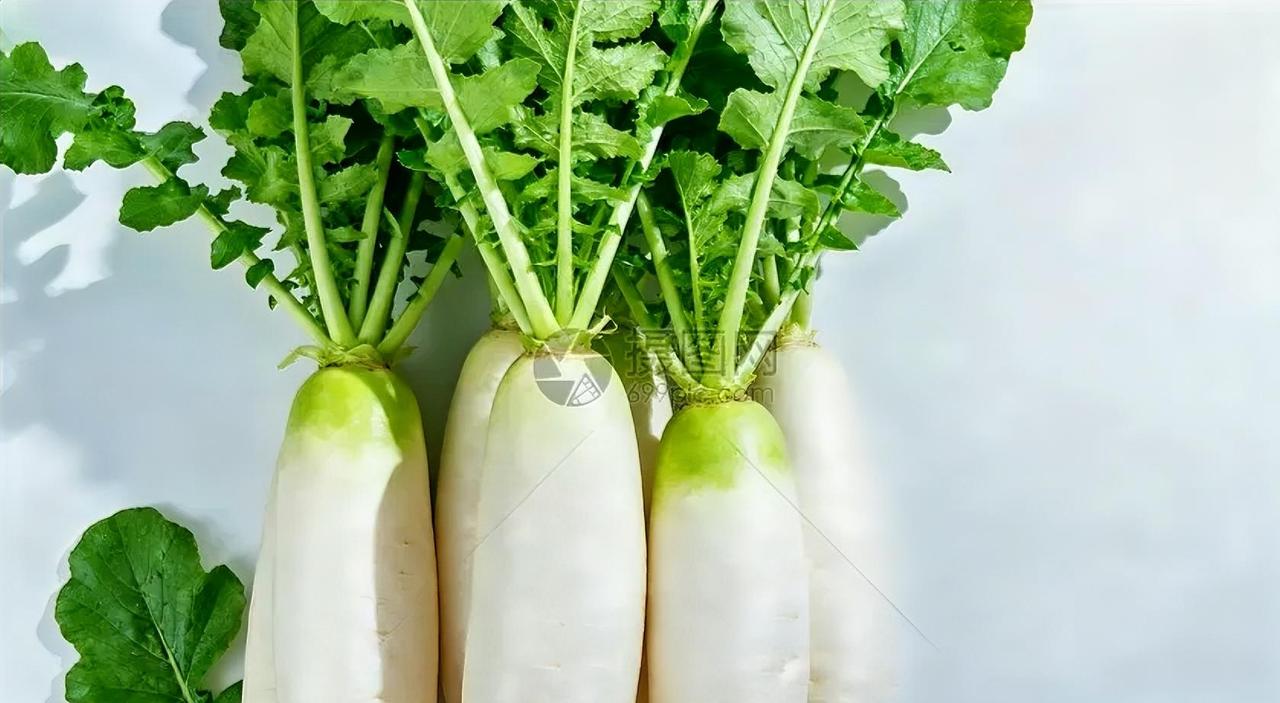 春天吃萝卜，正当季的养生好物
 
春风渐暖，正是吃萝卜的好时候，这口脆嫩鲜爽，藏