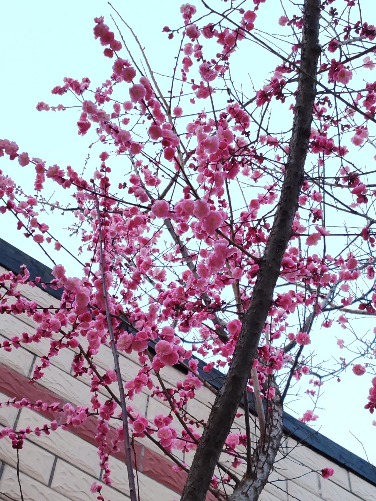 人总要有个爱好，俗话说：“当上帝为你关上一扇门，也会为你打开一扇窗。”你老公不抽