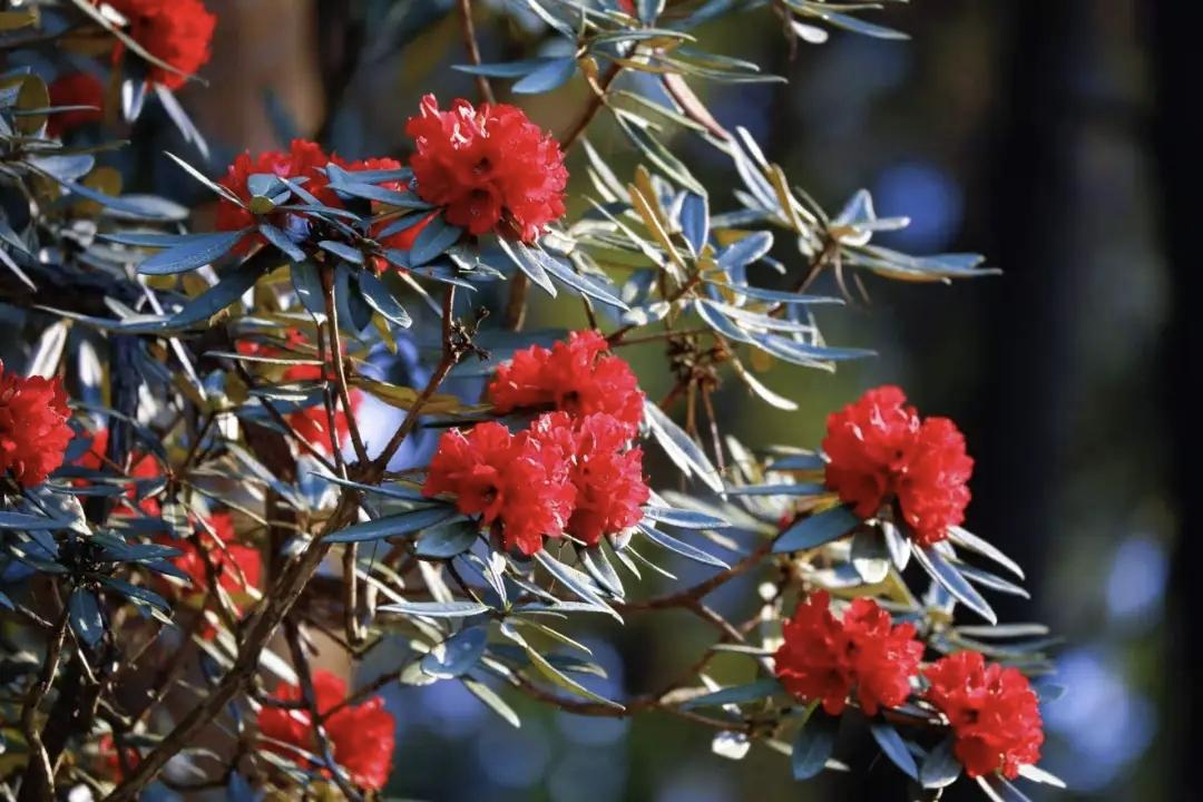 【繁华不乱眼，是非不缠身，沉默养清气，简单得自在】
        “繁华不乱眼