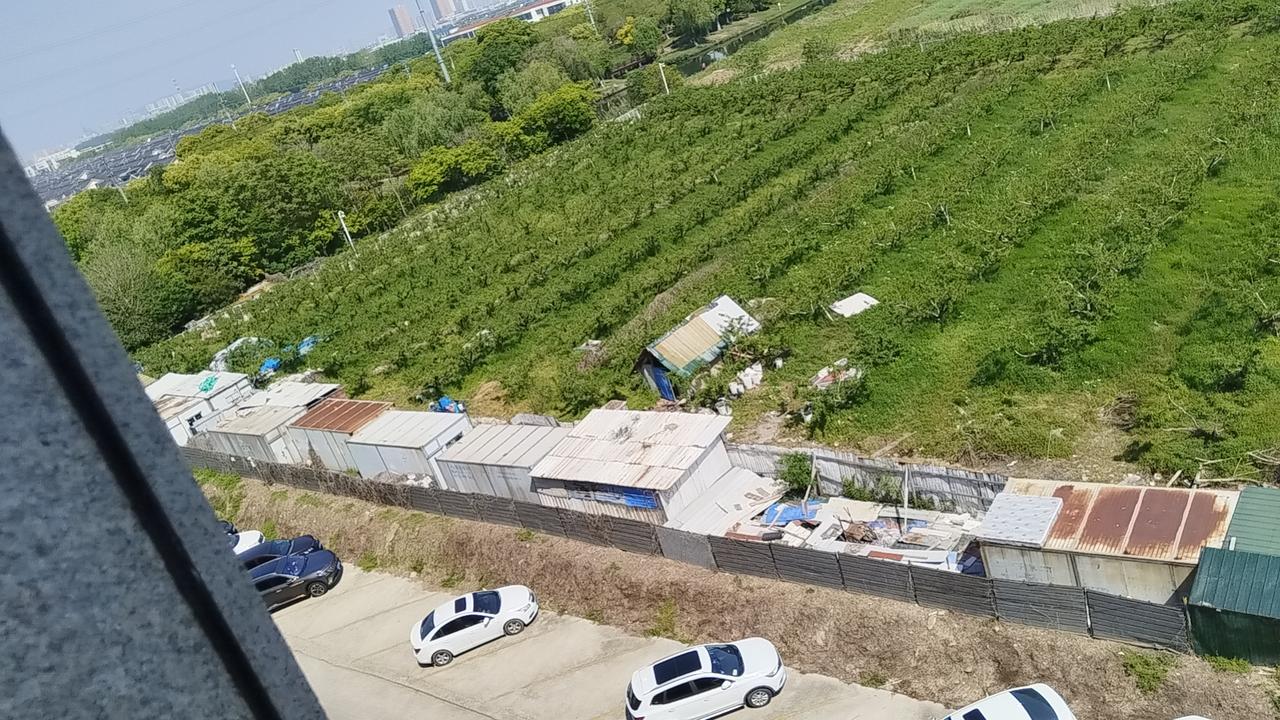 春日生活打卡季 俯瞰城市边缘的绿意盎然，车水马龙间的一片宁静。