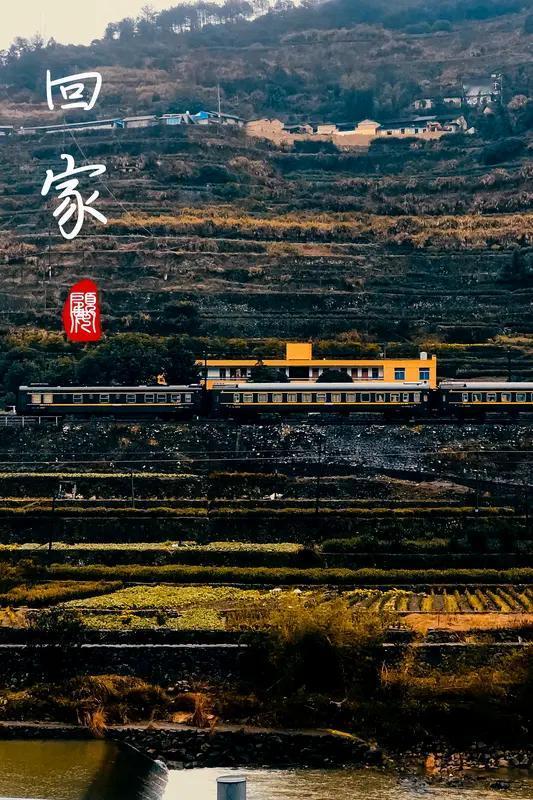 返乡路上，我永远失去了我的孩子：最痛的团圆，是再也回不到家
 
你能想象吗？一家