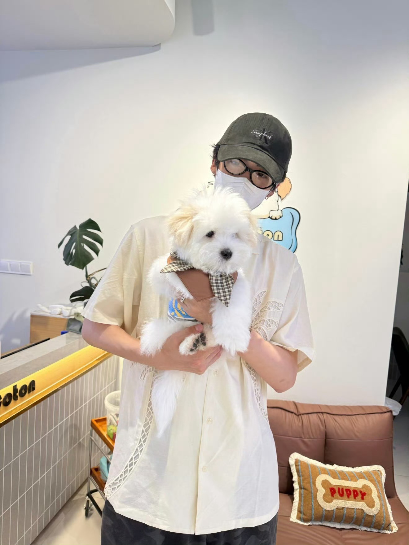 老猪怎么在