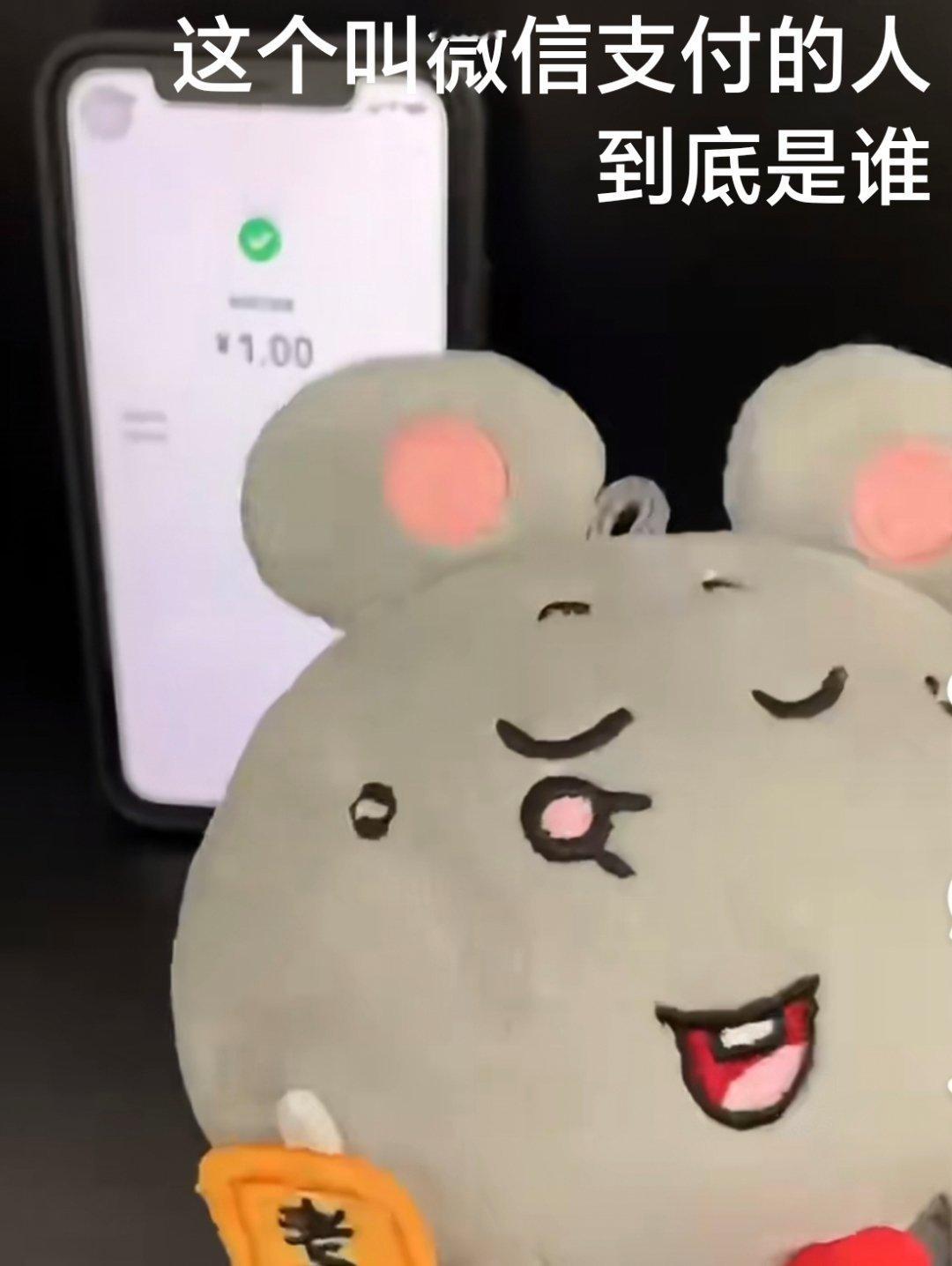 有个叫微信支付的一直在花我钱不对还有位朋友叫:支付宝！！自从用了电子支付，感觉每