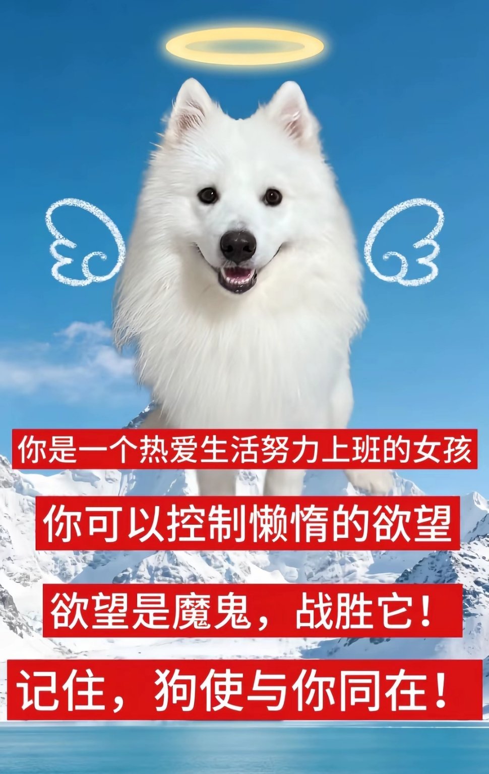有人能get到吗。提示一下 吕子乔🌚🌚 ​​​