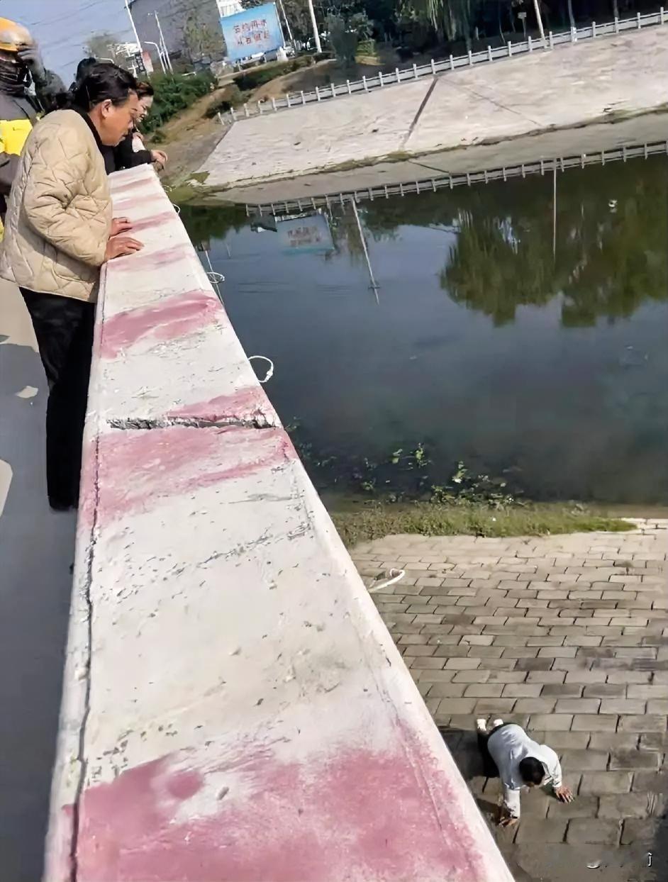 “万万没想到！”河南，一男子开车路过大桥，突然停车拉开车门，从桥上一跃而下，本来