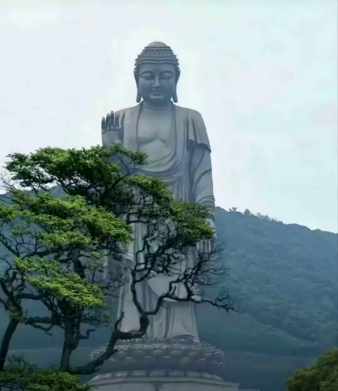 请不要无视他，明天会有好运🙏🏻🙏🏻🙏🏻 ​​​
