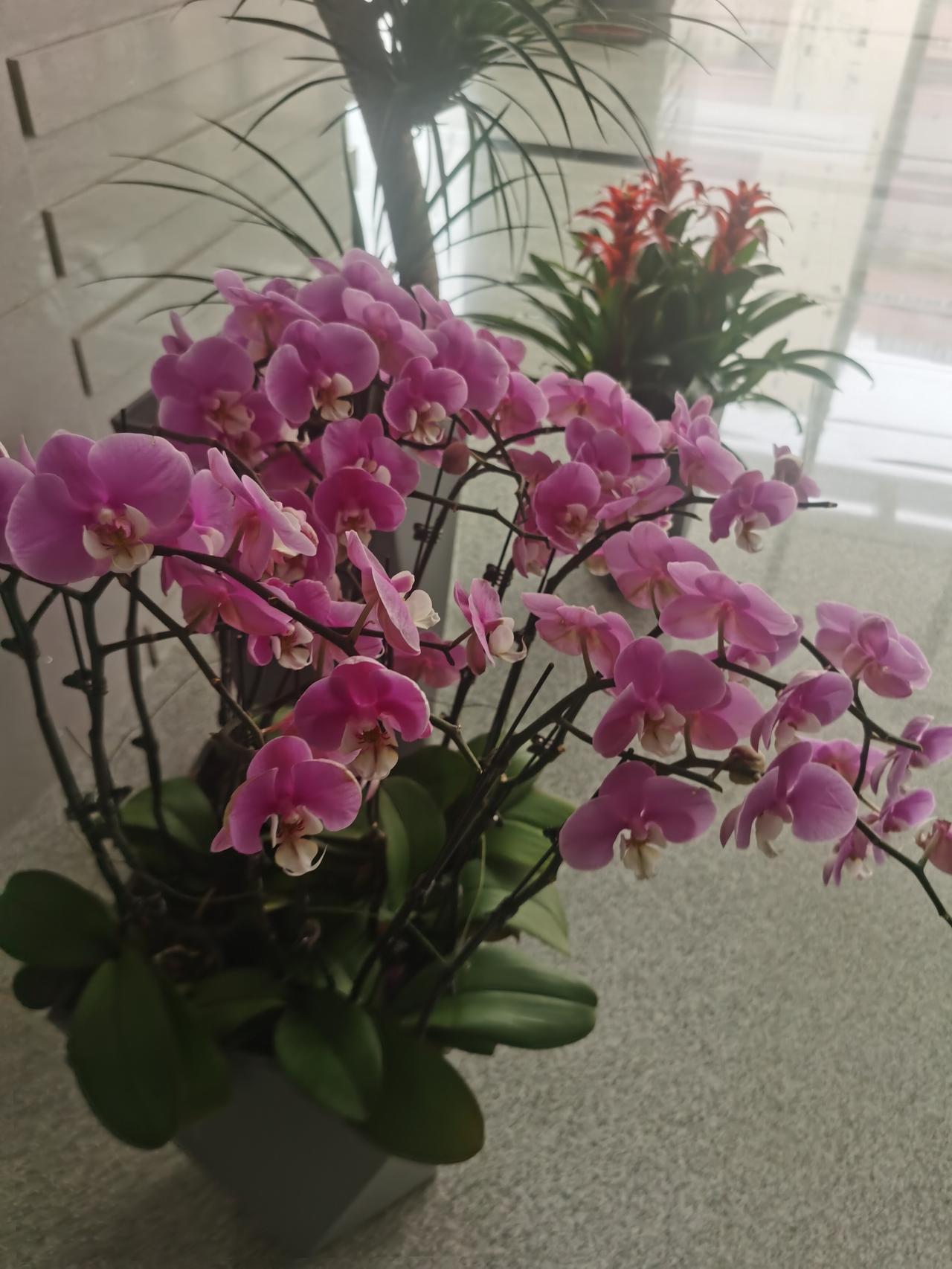 今年春天最想实现的心愿 今年春天，我最大的心愿就是一切安好。过去的日子里，生活像