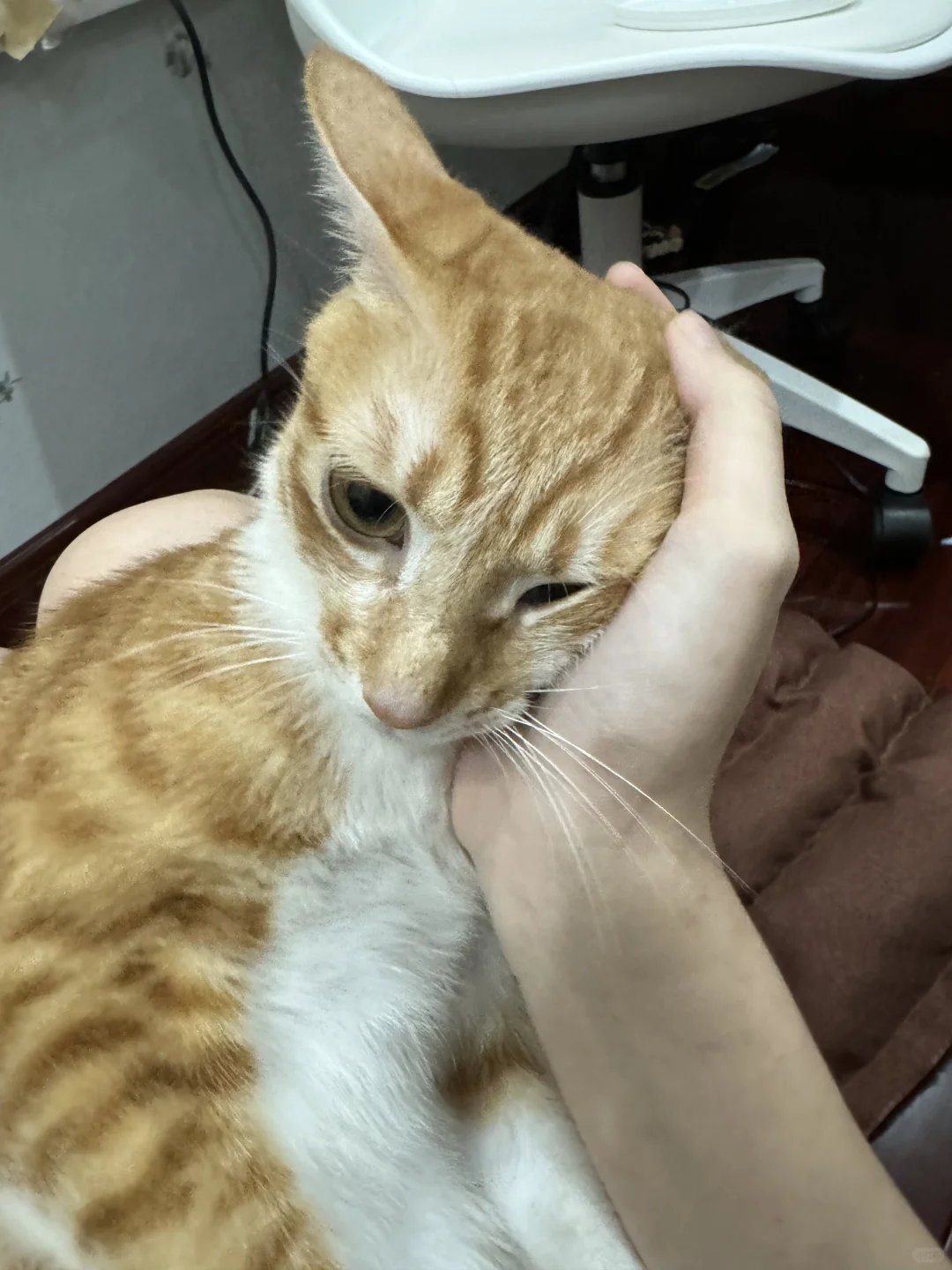 右眼，用来记住你