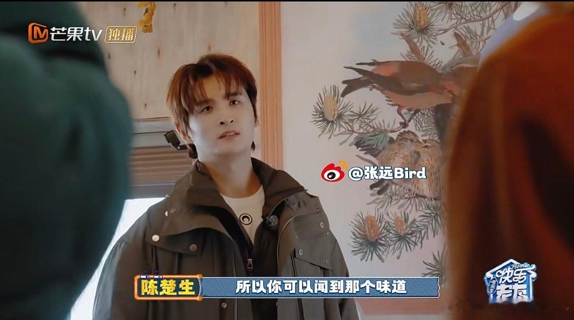 张远的远房亲戚都可以来住了 厚米之家再添新惊喜！张远把鸟巢爆改升级，精致度直接封