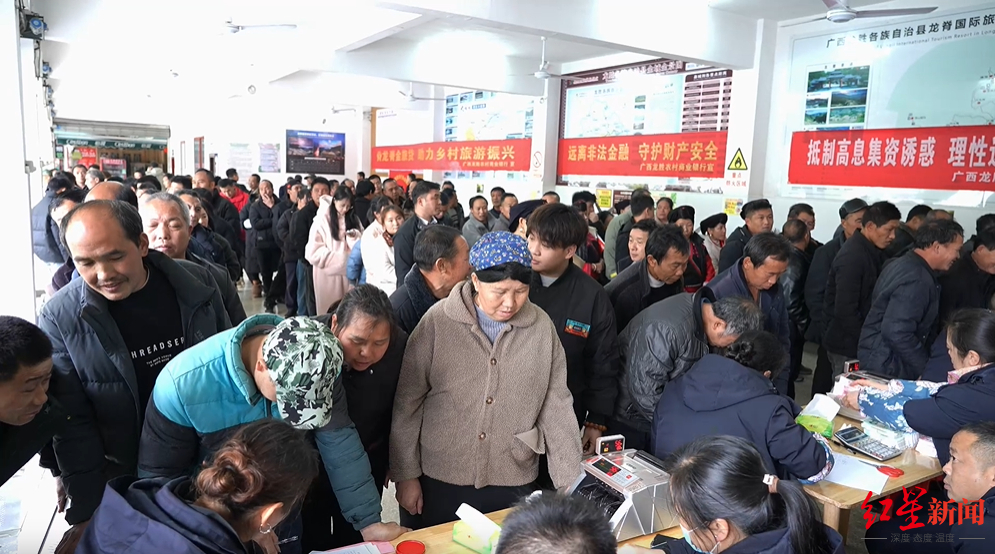 #广西一村分红647万元#【广西龙胜大寨村分红647万元 村民喜提“年终奖”欢度