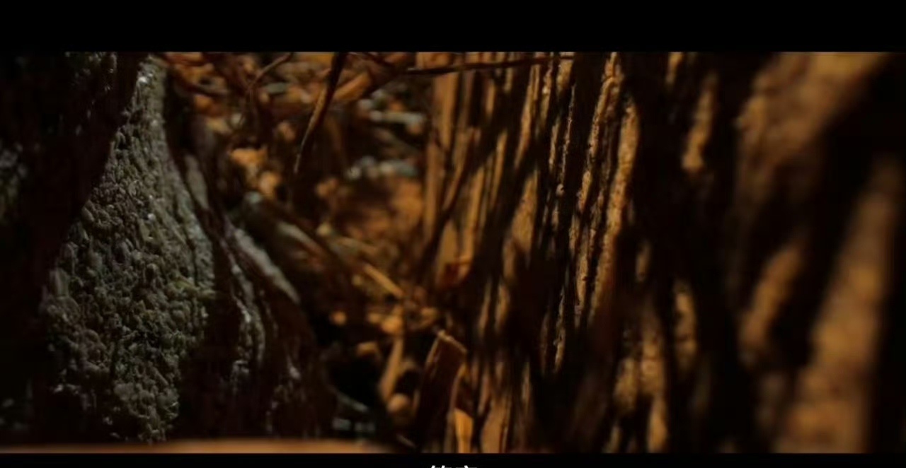 寻味酱香悦享生活仁怀酱酒的香，是从西汉飘香至今的。那缕酱香里，沉淀着时光与匠心的