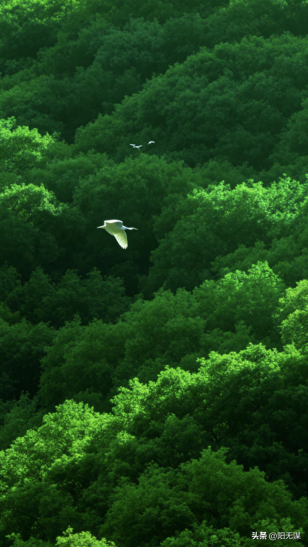 看清真相的一句话：
关于一件事，对方跟你说对事不对人，其实很好理解，私下沟通就是