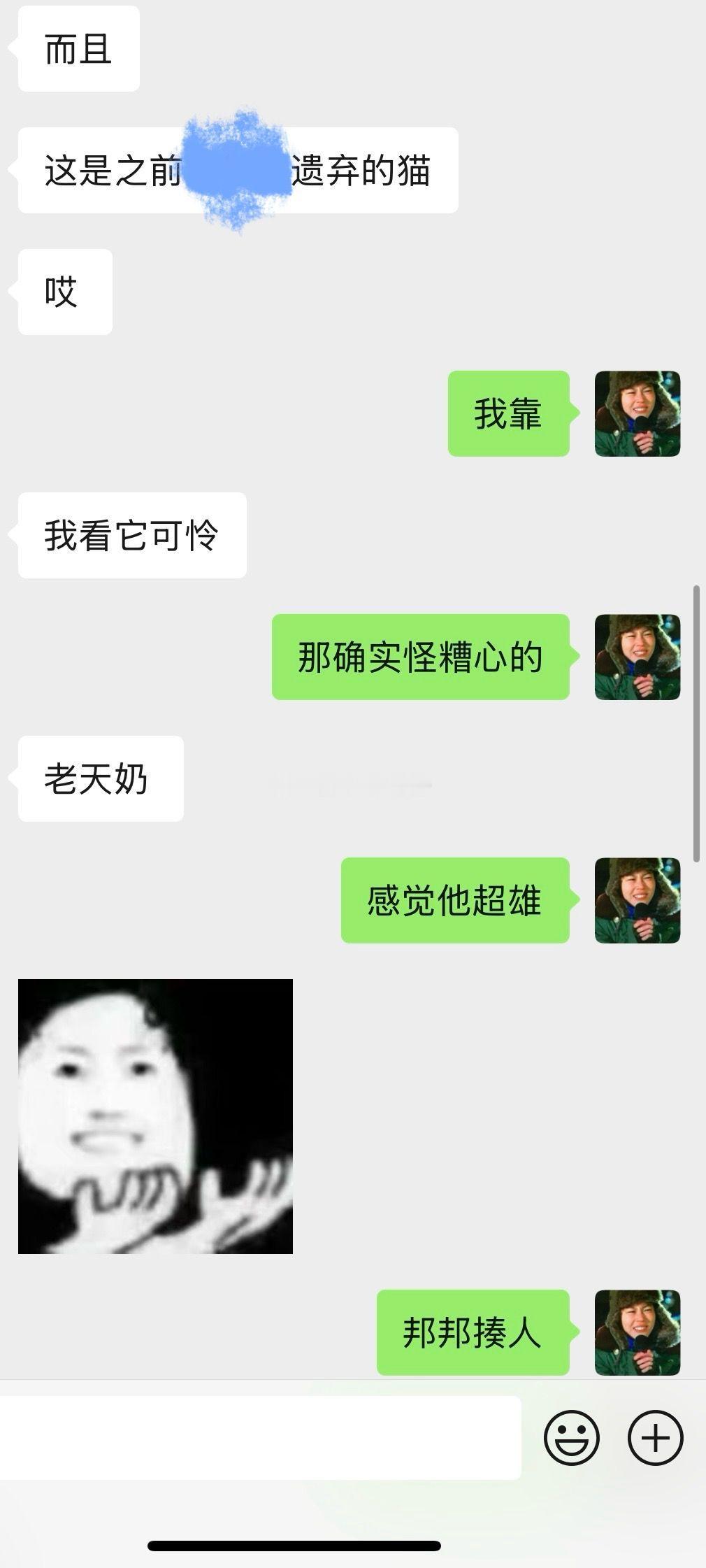 所以有没有朋友之前在哪位xox直播间或者口袋房间见过这只猫？到底是谁遗弃的啊！ 