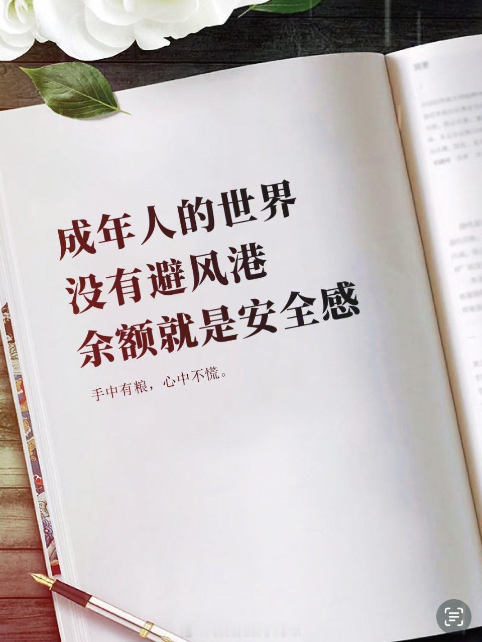成年人的世界没有避风港，余额就是安全感。  