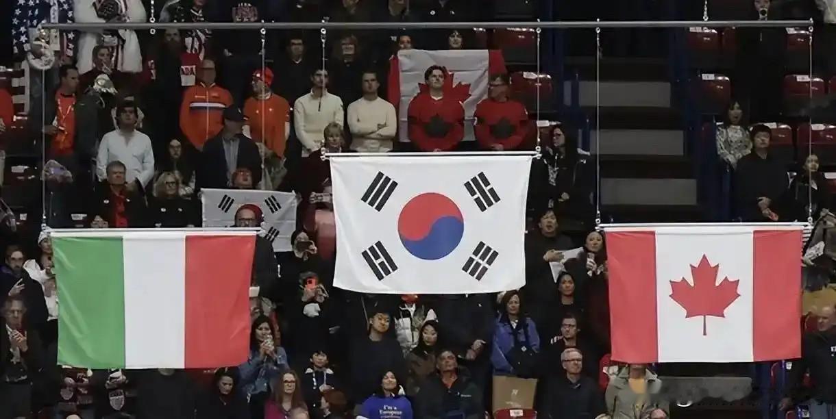 韩国网友又觉得自己在冬奥会上受辱了，原因很简单，就是因为其国旗被主办方印错了四次