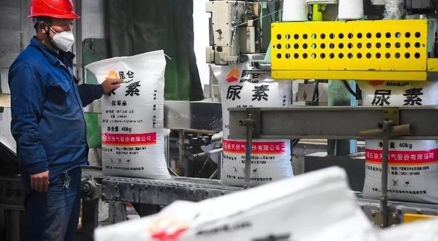 79.3亿的化肥厂建好两年，一吨尿素都没产出来——不是设备坏了，是“点火钥匙”被