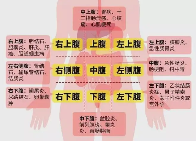 肚子疼到底是怎么回事？
