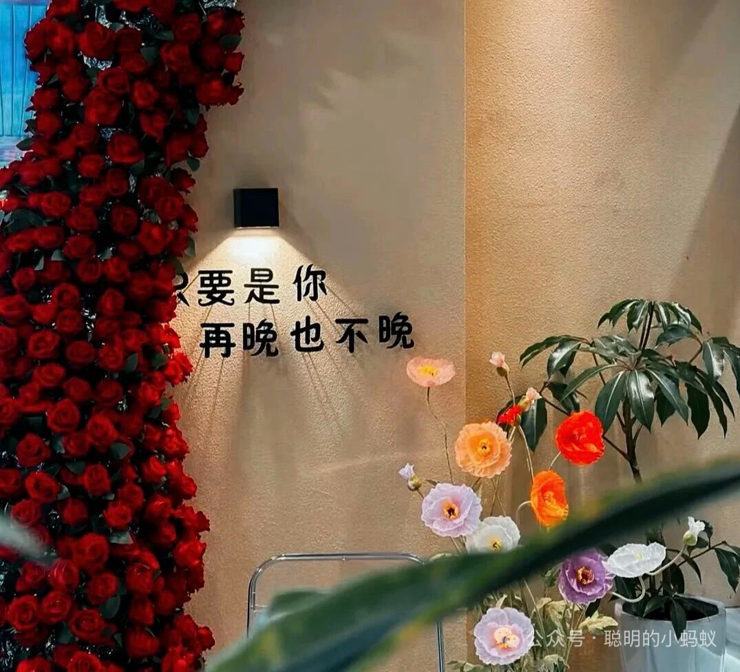 为什么好久不见 