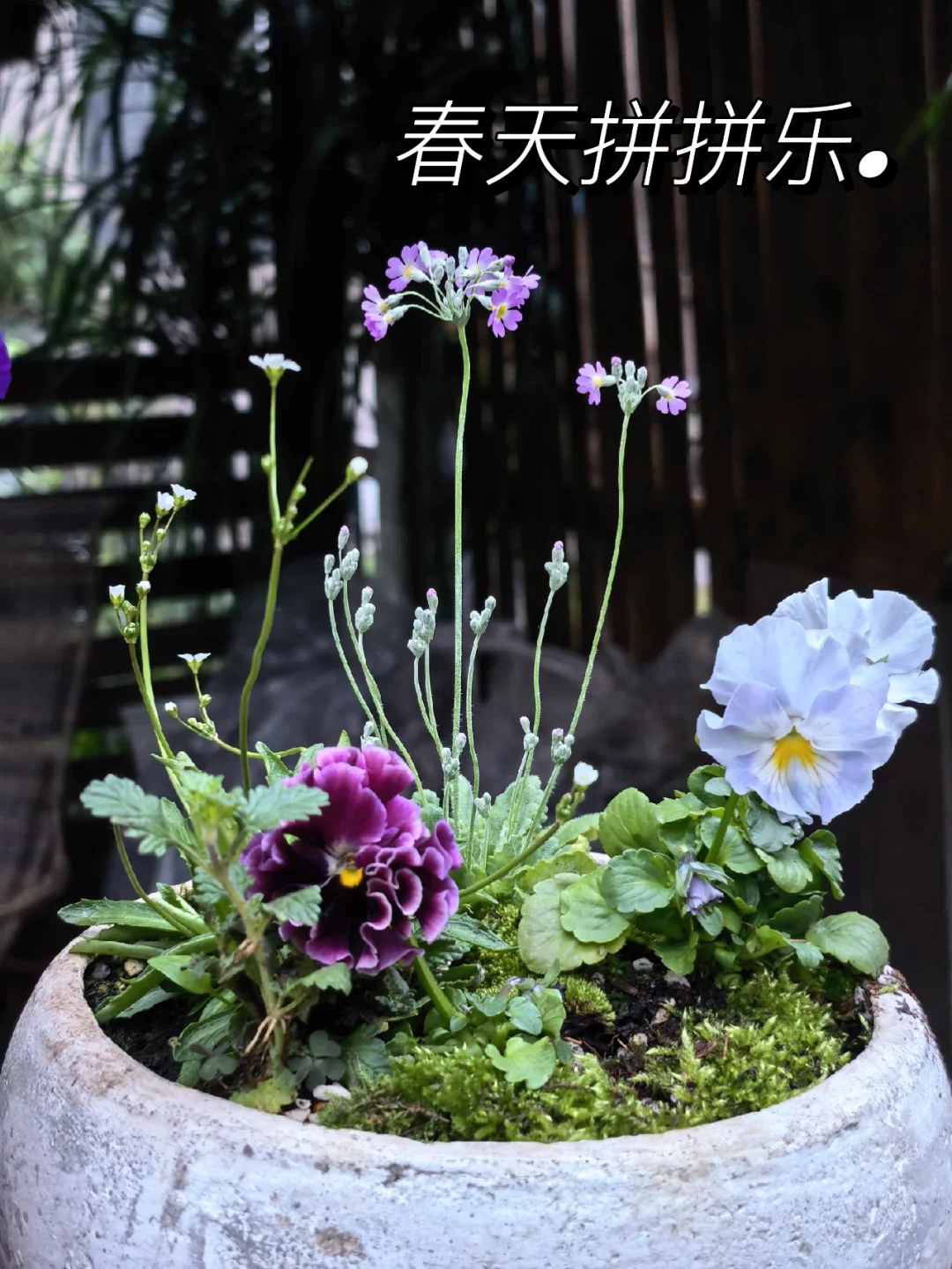 园丁最忙碌的季节