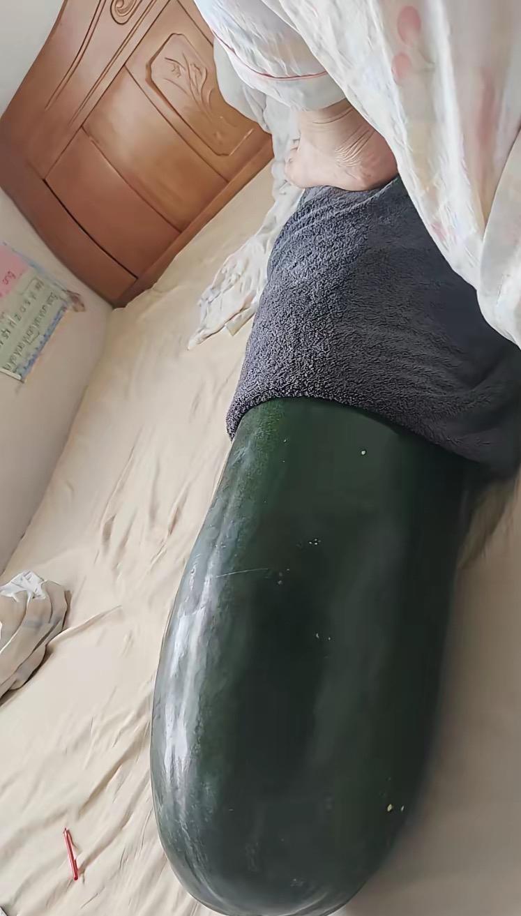 夏天冬瓜作伴