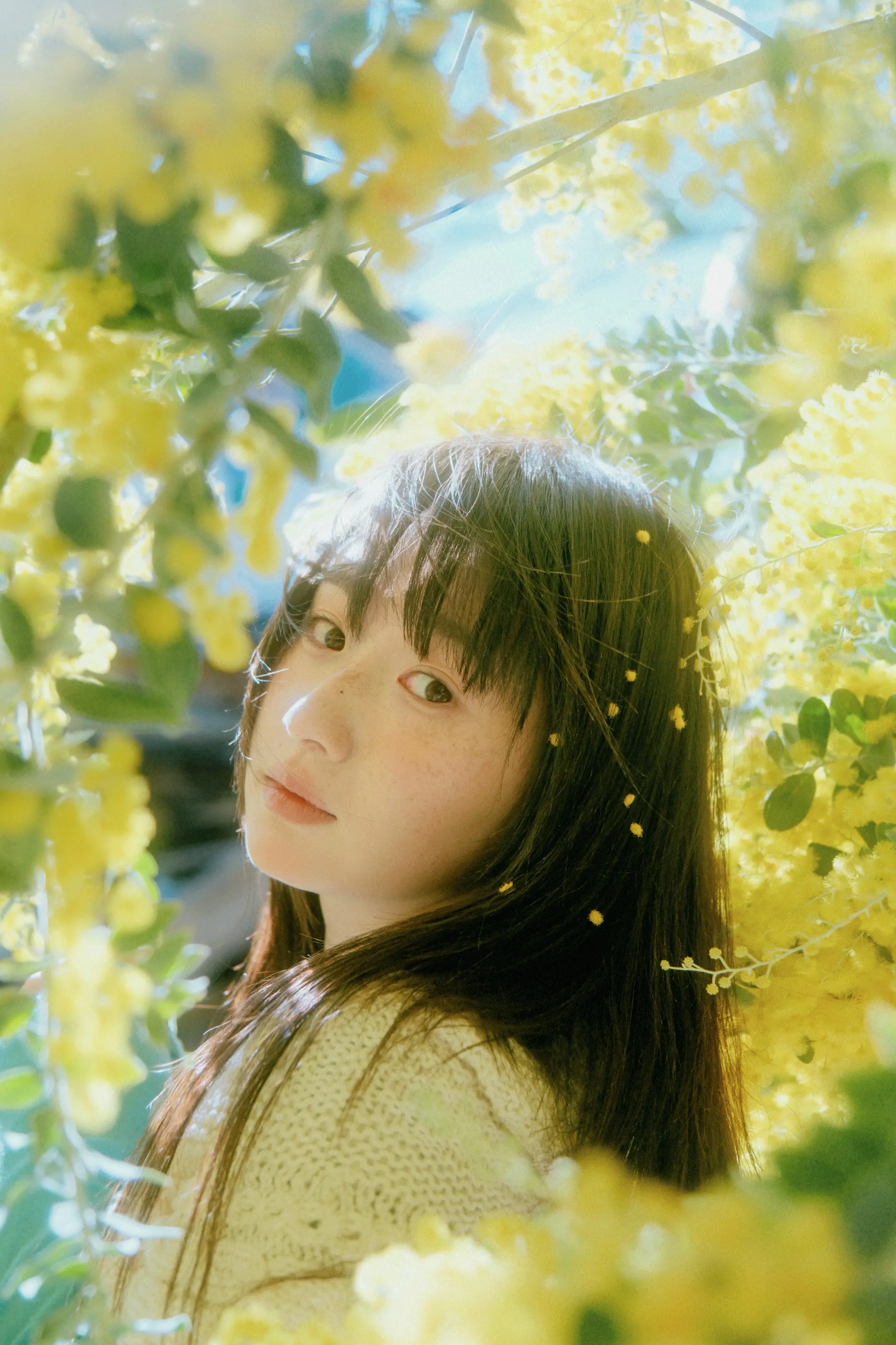 世界之大 非真非假