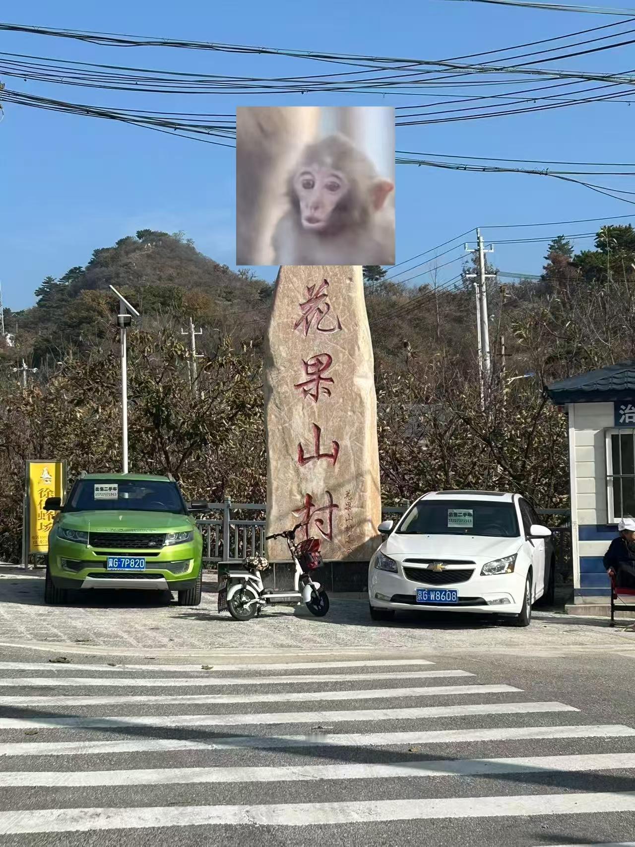 抬头一看，俺老孙到花果山了[呲牙][呲牙][呲牙]